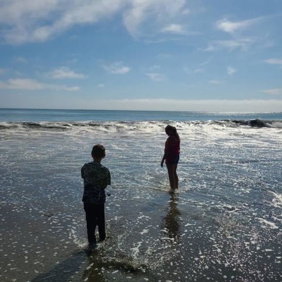 Meet your Posher, Dana - Picture 1 of 1